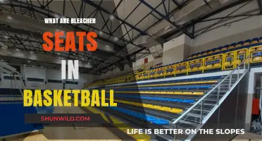 Bleacher Seats: Basketball's Affordable, Atmospheric Viewing Experience