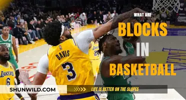 Understanding Basketball Blocks: Strategies, Techniques, and Practice