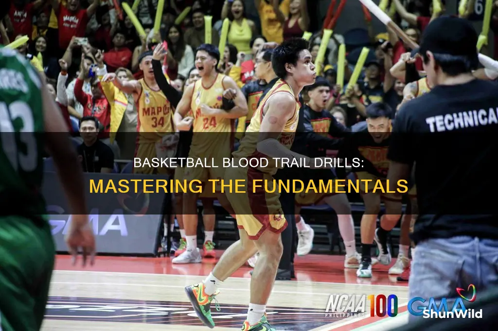 what are blood trail basketball drills