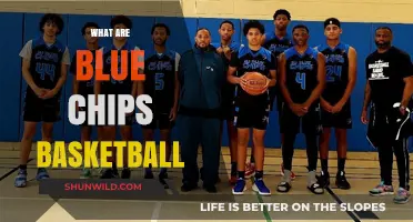 Blue-Chip Basketball: The Elite Players and Teams