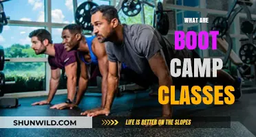 Discover the Intensity and Benefits of Boot Camp Classes