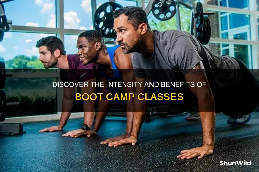 what are boot camp classes