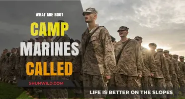 Understanding the Unique Title for Marines in Boot Camp Training