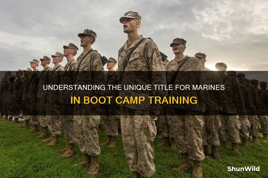 what are boot camp marines called