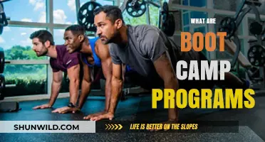 Understanding Boot Camp Programs: Intensive Training for Rapid Skill Development