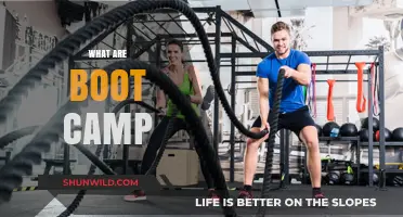 Discover the Power of Boot Camps: Transform Your Fitness Journey