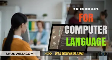 Master Coding Fast: Understanding Computer Language Boot Camps