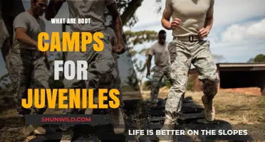 Understanding Juvenile Boot Camps: Purpose, Effectiveness, and Impact on Youth