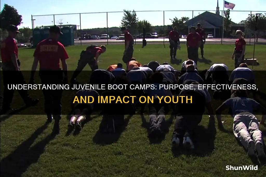what are boot camps for juveniles