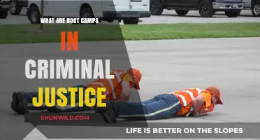 Understanding Criminal Justice Boot Camps: Purpose, Effectiveness, and Controversies