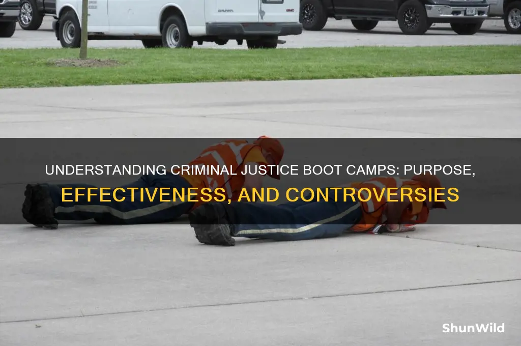 what are boot camps in criminal justice