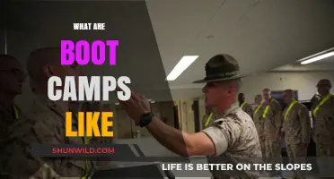 Unveiling Boot Camp Life: Challenges, Growth, and Transformative Experiences