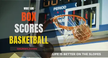 The Basics of Basketball Box Scores Explained