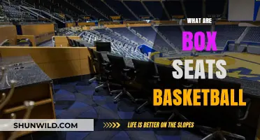 Box Seats: The VIP Basketball Experience