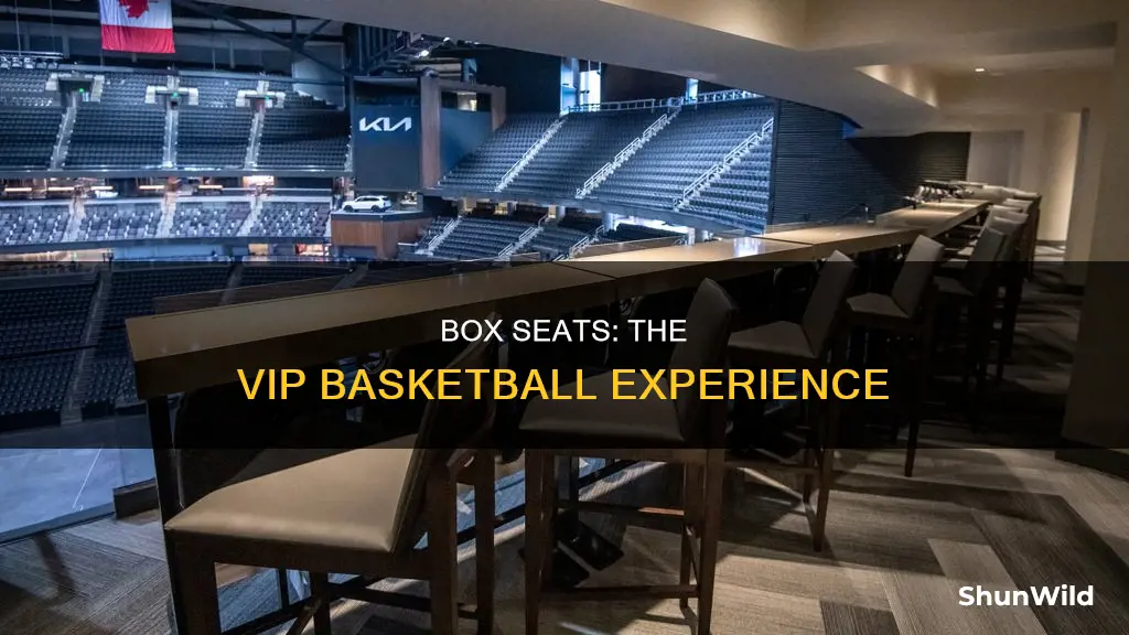 what are box seats basketball