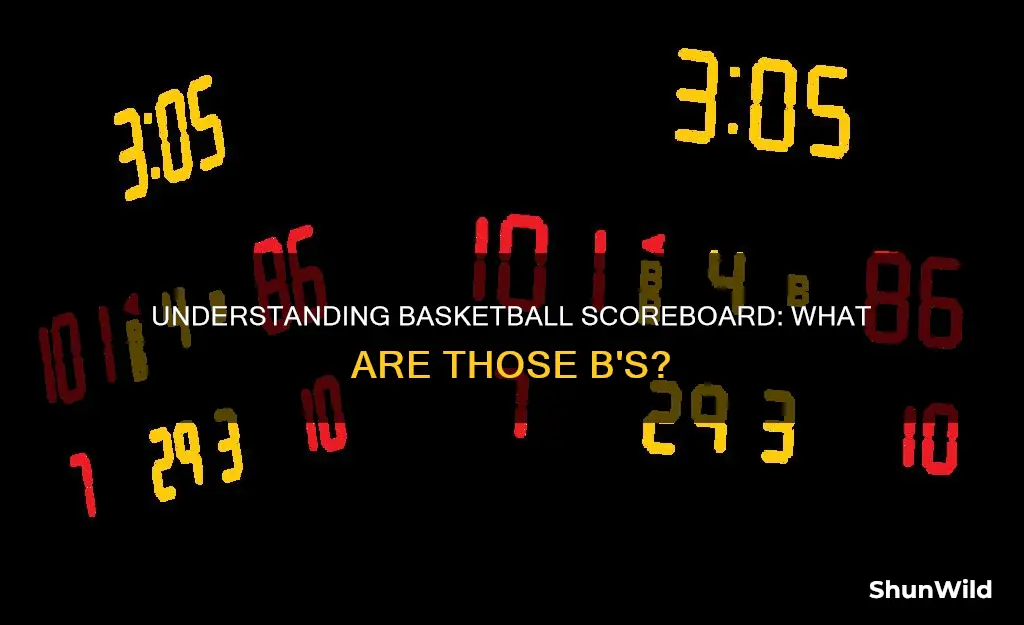 what are b
