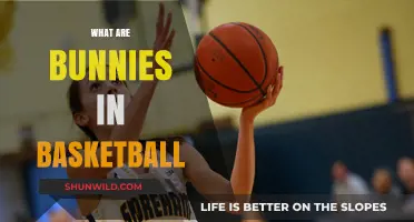 Basketball Bunnies: Understanding Their Role and Importance