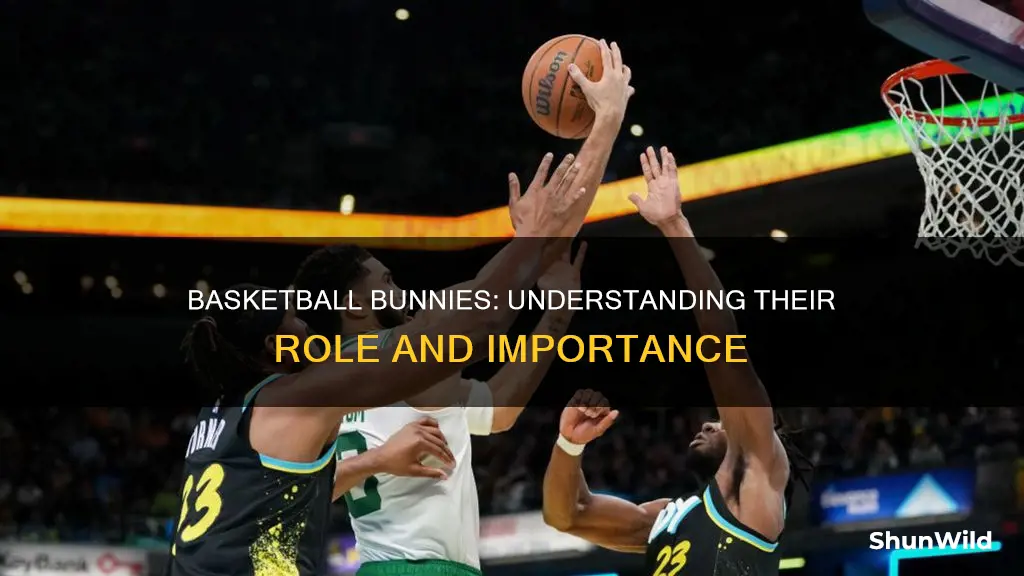 what are bunnies in basketball