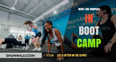 Mastering Burpees: Boot Camp's Ultimate Full-Body Challenge Explained