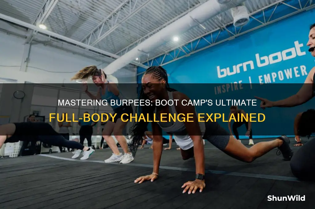 what are burpees in boot camp
