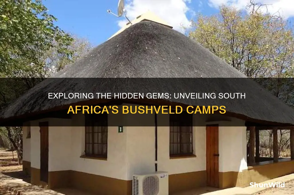 what are bushveld camps