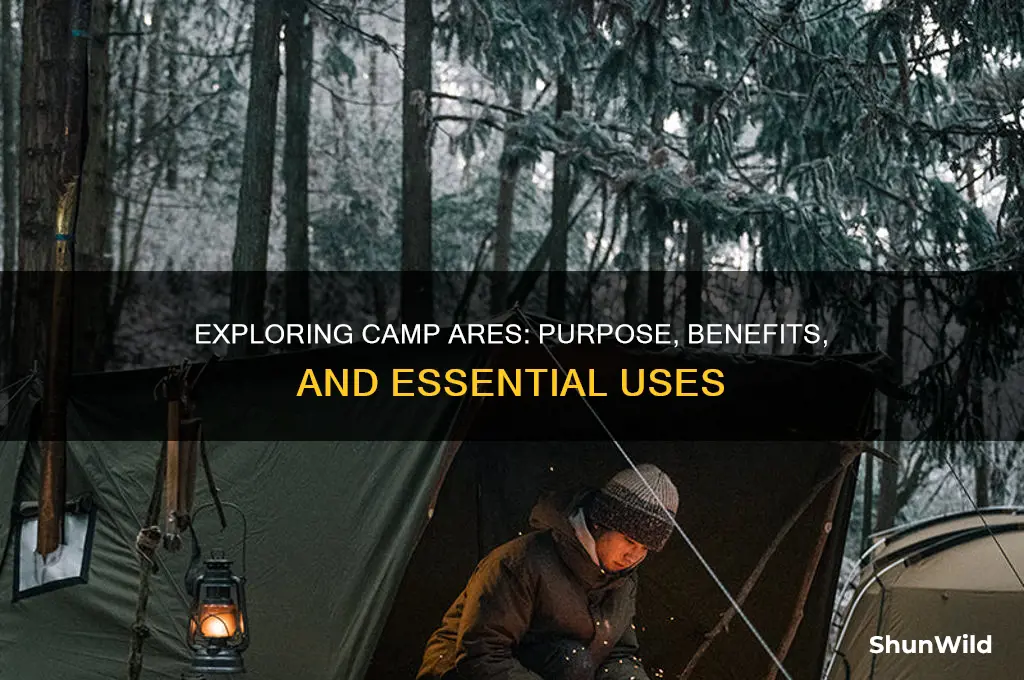 what are camp ares for