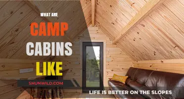 Exploring Cozy Camp Cabins: Rustic Comforts and Outdoor Adventures
