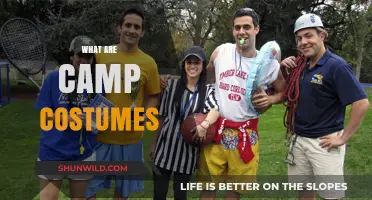 Unveiling the Fun: Understanding the Art of Camp Costumes