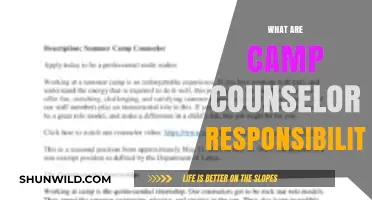 Camp Counselor Duties: Guiding, Inspiring, and Ensuring Camper Safety