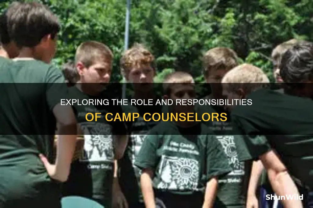 what are camp counselors
