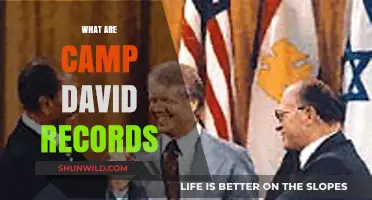 Unveiling Camp David Records: A Historic Diplomatic Achievement Explained