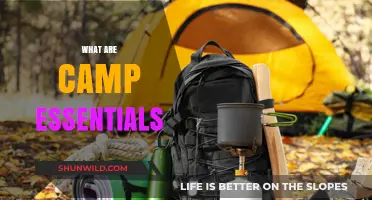 Camping Must-Haves: Essential Gear for a Perfect Outdoor Adventure