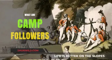 Exploring the Role and History of Camp Followers in Military Life