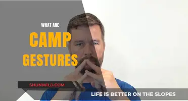 Understanding Camp Gestures: A Guide to Their Meaning and Use