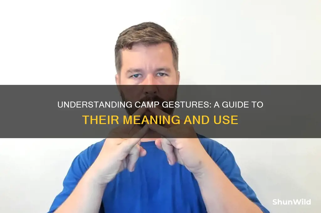 what are camp gestures