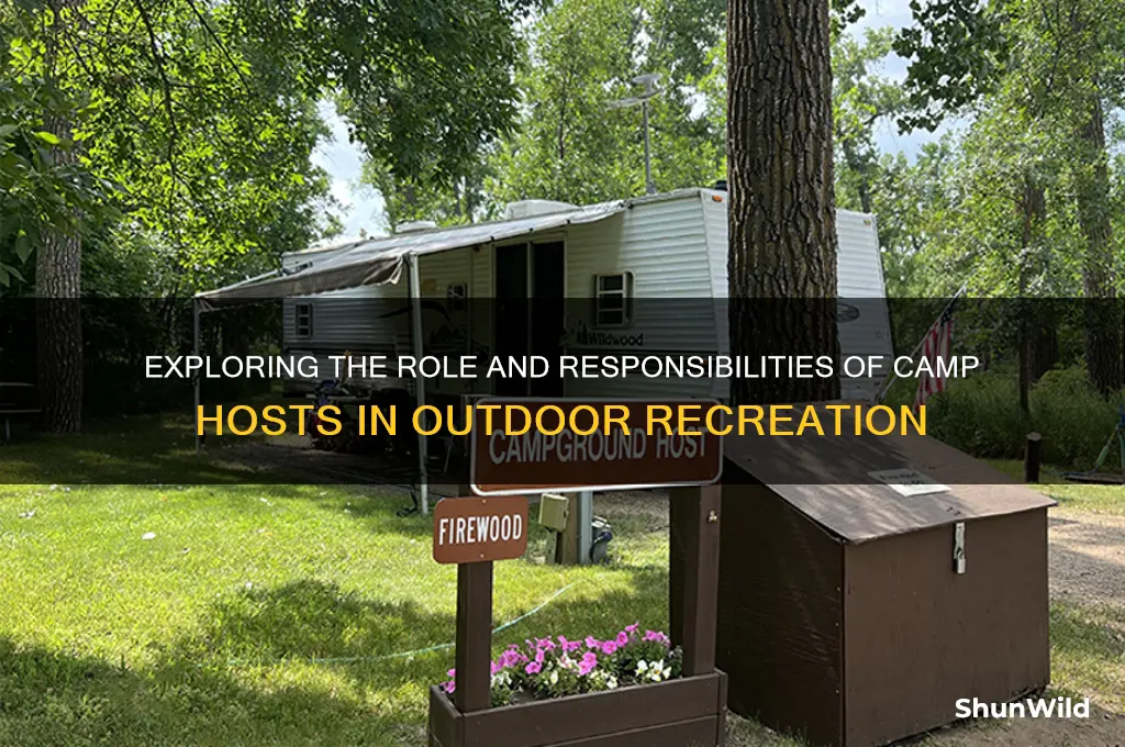what are camp host