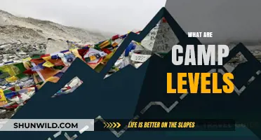 Understanding Camp Levels: A Comprehensive Guide for Campers and Parents