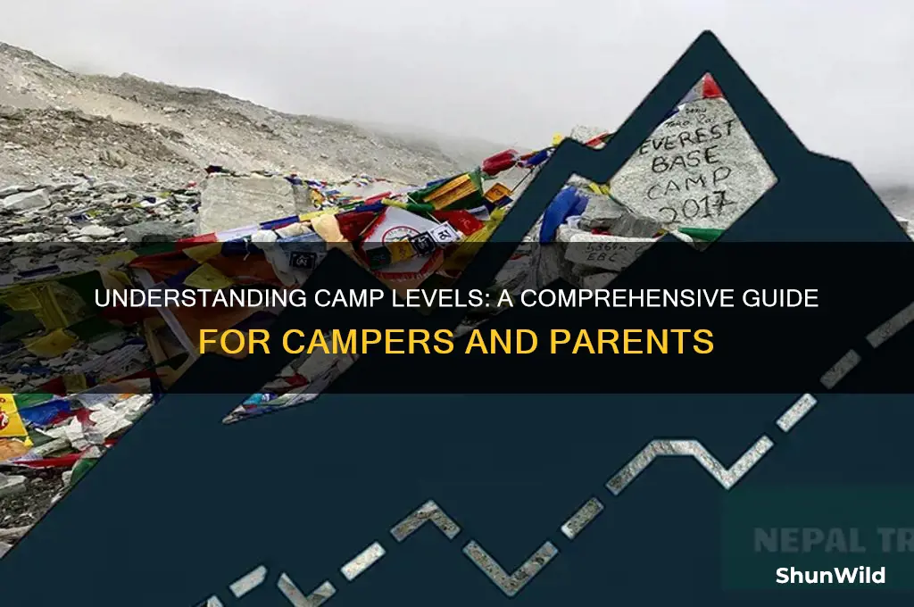 what are camp levels