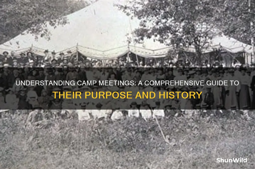 what are camp meetings apsuh