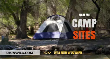 Exploring Camp Sites: Your Ultimate Guide to Outdoor Adventures