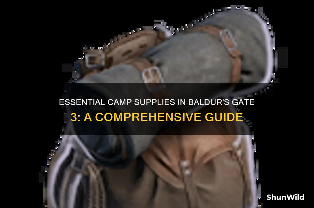 what are camp supplies bg3