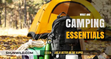 Camping Essentials: Must-Have Gear for a Perfect Outdoor Adventure