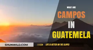 Exploring Guatemala's Campos: Understanding Their Role and Significance