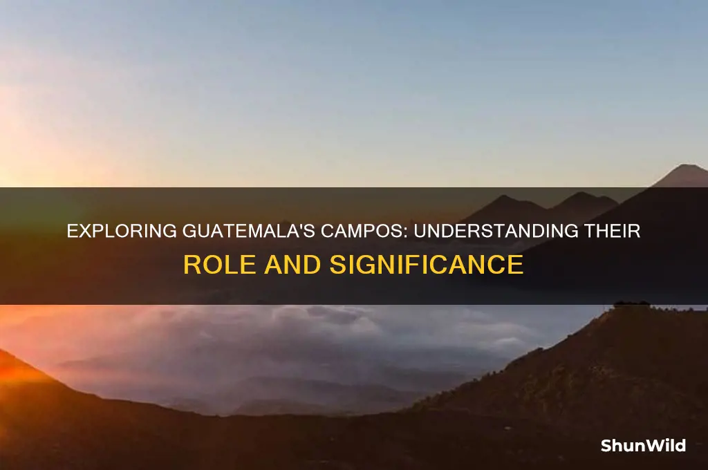 what are campos in guatemela