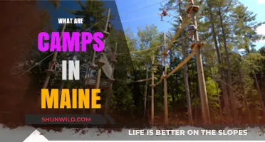 Exploring Maine's Best Camps: Outdoor Adventures and Family Fun