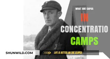 Understanding Capos: Their Role and Impact in Concentration Camps