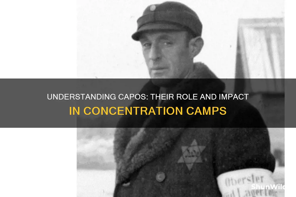 what are capos in concentration camps