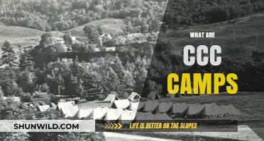 Exploring the History and Impact of CCC Camps in America