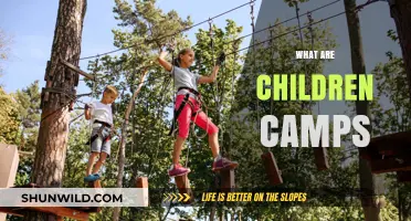 Exploring Children Camps: Benefits, Activities, and Choosing the Right One