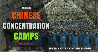 Unveiling China's Xinjiang Camps: Human Rights Crisis Explained